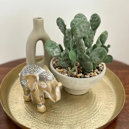 Casa Milea - Marina *